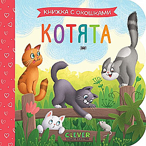 Pop-Up Book. Kittens