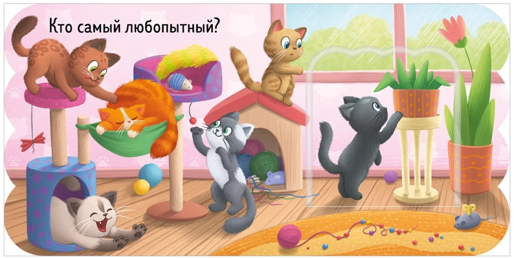 Pop-Up Book. Kittens