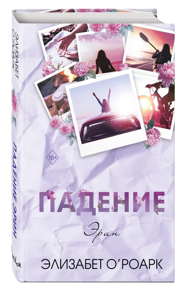 Братья Лэнгстром. Падение Эрин