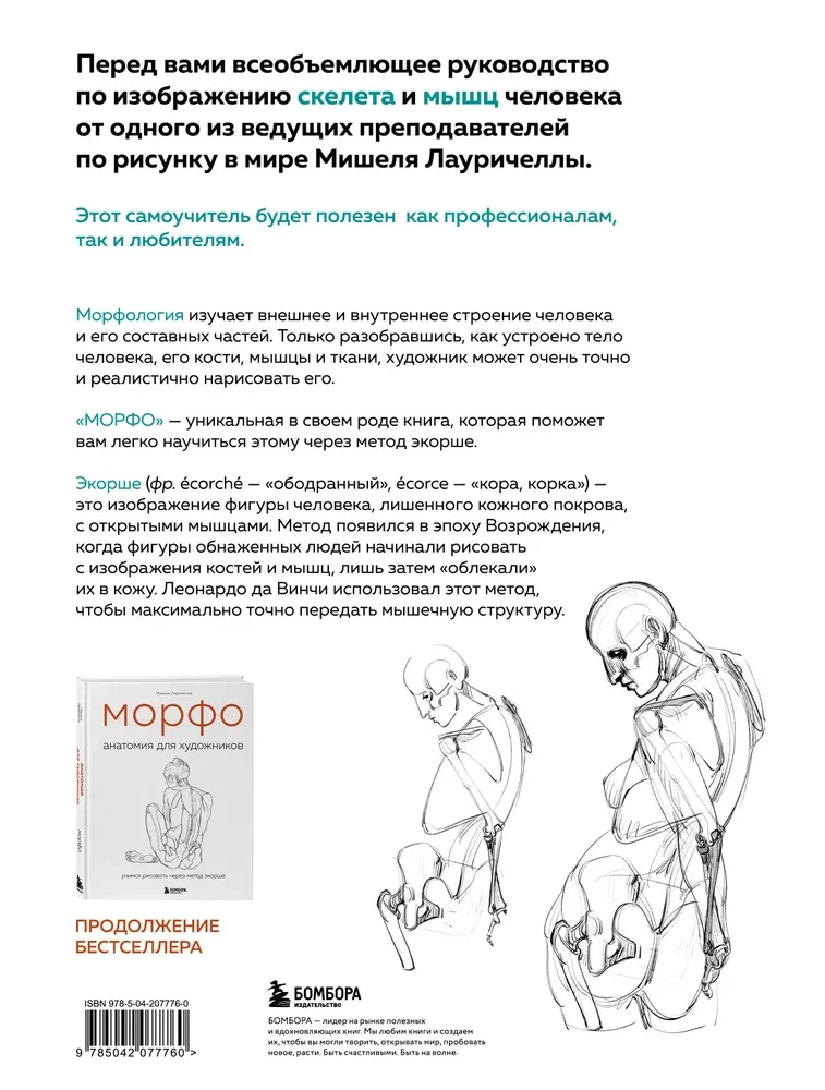МОРФО. Скелет и мышцы человека. Анатомия для художников