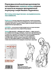 МОРФО. Скелет и мышцы человека. Анатомия для художников