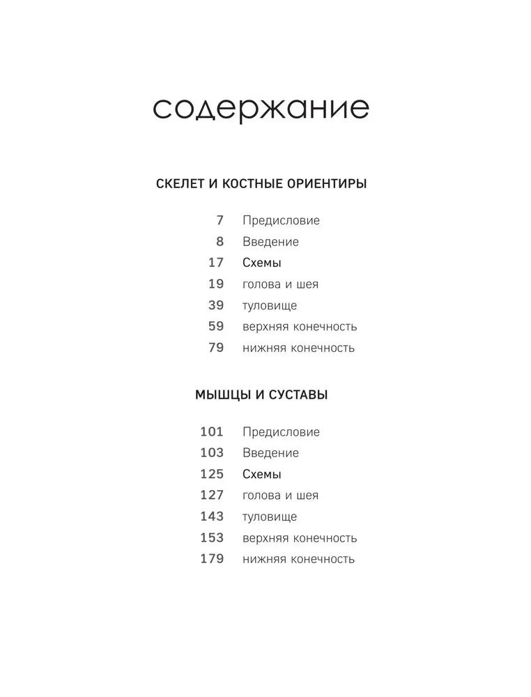 МОРФО. Скелет и мышцы человека. Анатомия для художников