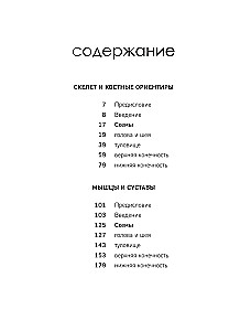 МОРФО. Скелет и мышцы человека. Анатомия для художников