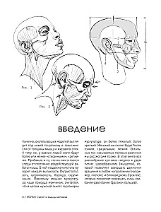 МОРФО. Скелет и мышцы человека. Анатомия для художников