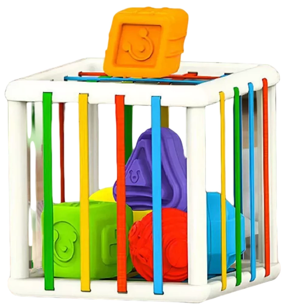 Rozwijająca kostka sorter