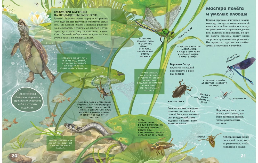 Die Geheimnisse der Tiere des Sees