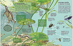 Secrets of Lake Animals