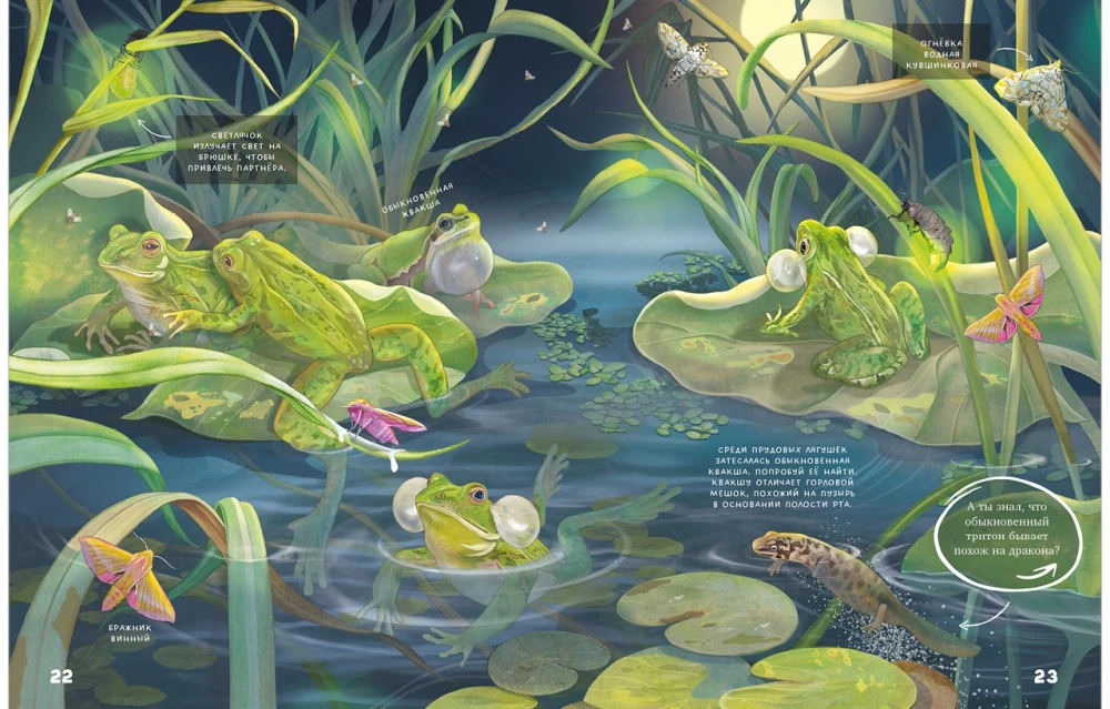 Secrets of Lake Animals