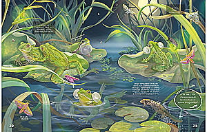 Secrets of Lake Animals