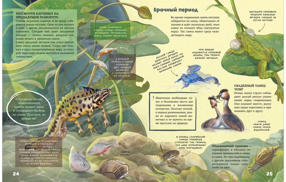 Die Geheimnisse der Tiere des Sees