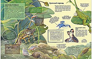 Die Geheimnisse der Tiere des Sees
