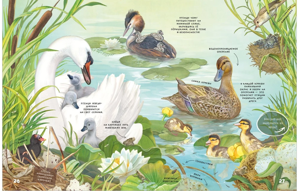 Die Geheimnisse der Tiere des Sees