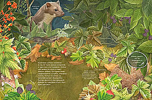 Amazing Encyclopedias. Secrets of the Autumn Forest. Visual Encyclopedia