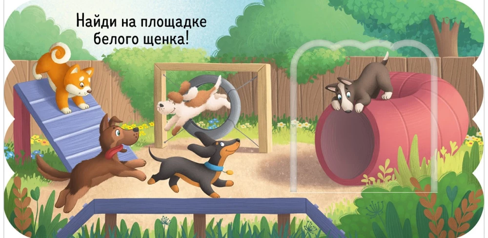 Book with Windows. Puppies