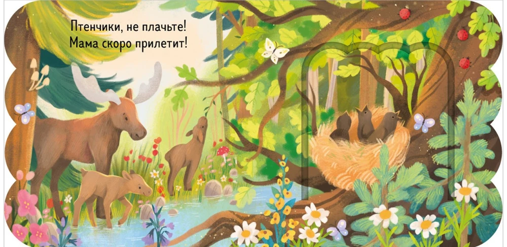 Книжка с окошками. Лес