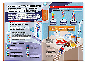 Decode Your Body. Biohacking for Teens in Infographics