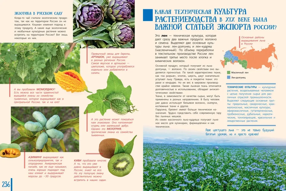 100 questions about the geography of Russia that everyone should know the answers to