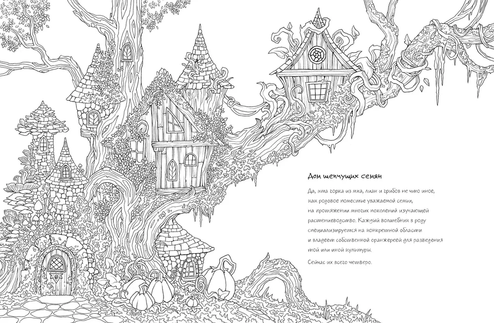City of Charms and Potions. Coloring Book with Illustrations by Ana Nagran