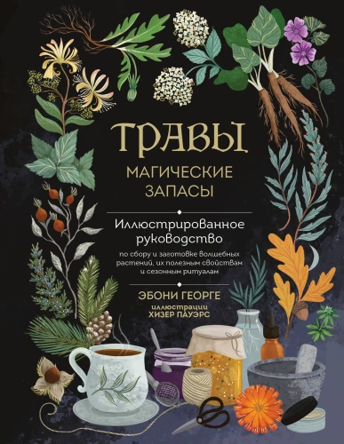 Herbs. Magical Supplies. An Illustrated Guide to Gathering and Preparing Magical Plants, Their Beneficial Properties, and Seasonal Rituals