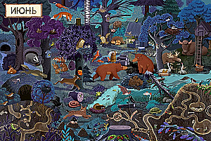 A Year in the Forest