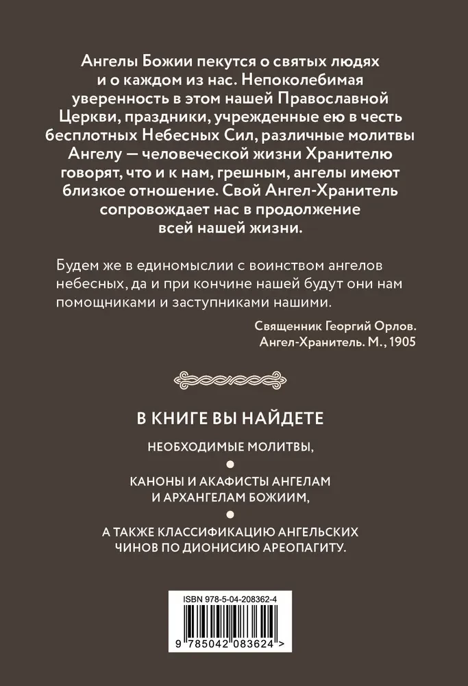 Modlitwy do wojska aniołów niebieskich. Kanony, akatysty, modlitwy
