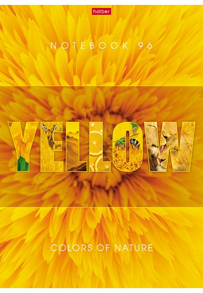 Zeszyt w kratkę - Harmonia koloru