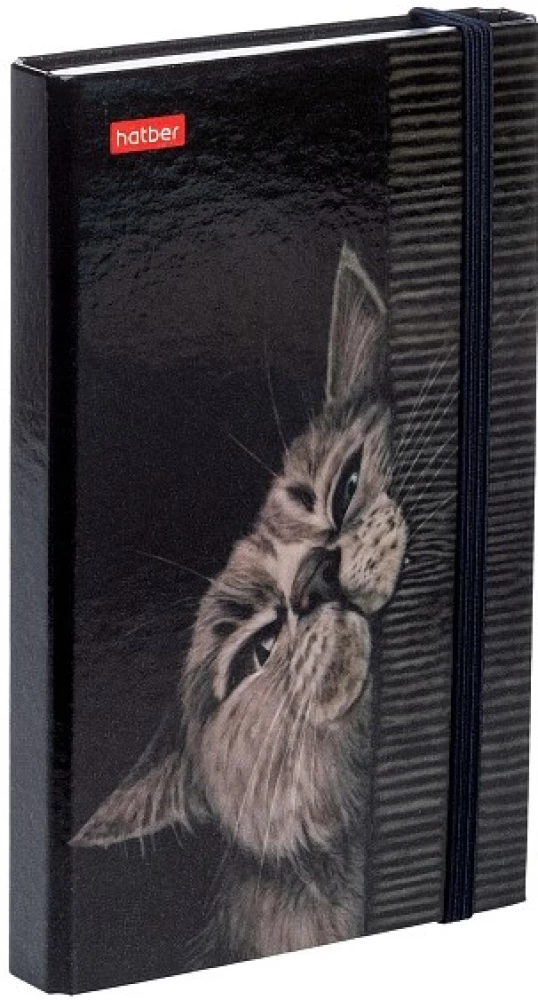 Notes - Mur-Miau