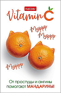 Notes w kratkę, 48 kartek - Vitamin C, w asortymencie
