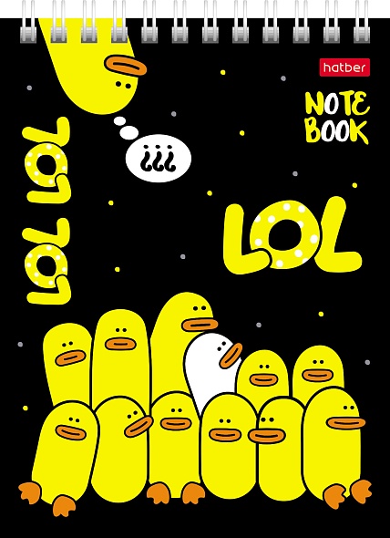 Notebook in a grid, 40 sheets - DuckTales, assorted