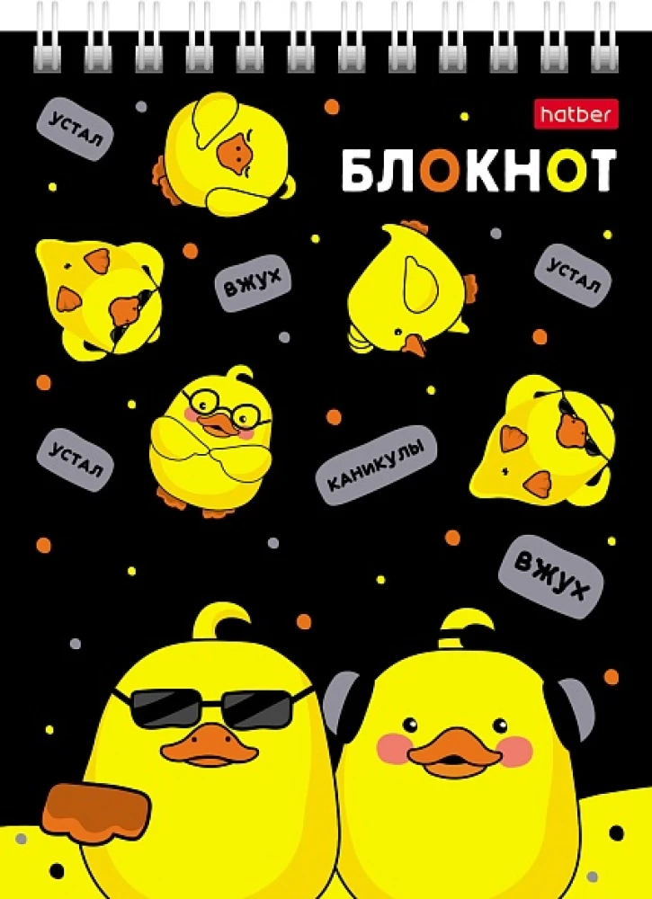 Notes w kratkę, 40 kart - Kaczor Donald, w asortymencie