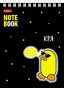 Notes w kratkę, 40 kart - Kaczor Donald, w asortymencie