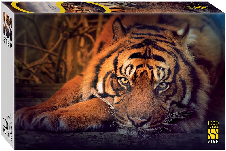 Puzzle - Siberian Tiger, 1000 Pieces