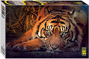 Puzzle - Siberian Tiger, 1000 Pieces