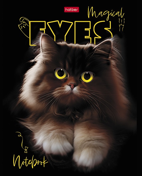 Notes w kratkę. 48 stron - Magiczne oczy