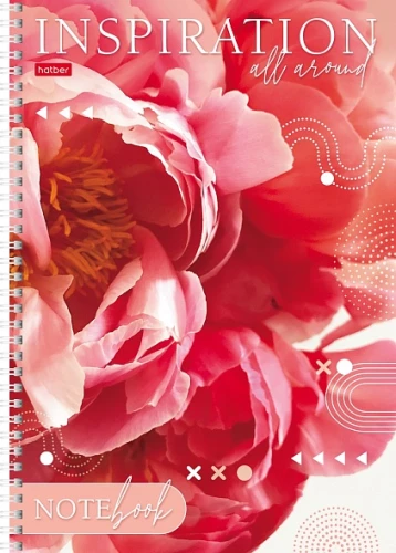 Notebook with lines, 80 sheets - Inspiration, assorted