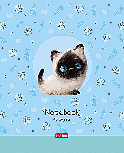Notatnik w kratkę, 48 stron - Kociak