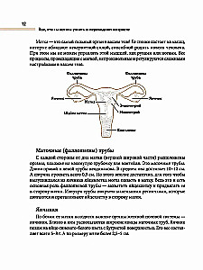 Всё, что ты хотела узнать о переходном возрасте