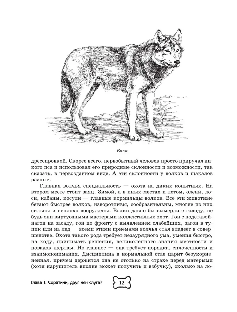 Pies. Pełny przewodnik po tresurze i pielęgnacji