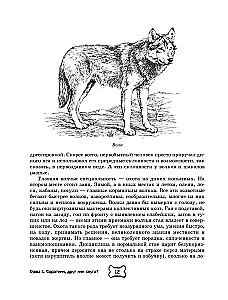 Pies. Pełny przewodnik po tresurze i pielęgnacji