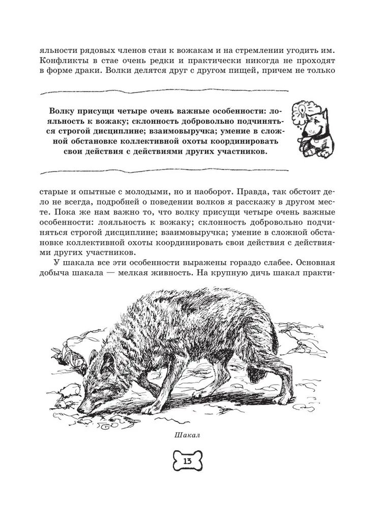 Pies. Pełny przewodnik po tresurze i pielęgnacji