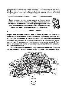 Pies. Pełny przewodnik po tresurze i pielęgnacji