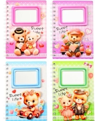 Notebook - Bears, assorted