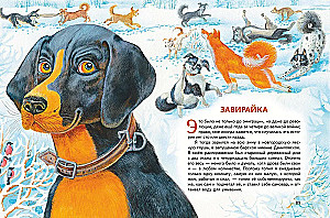 Whiskers, Feathers, and Tails. Stories by Russian Writers about Animals
