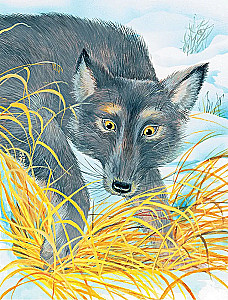 Whiskers, Feathers, and Tails. Stories by Russian Writers about Animals