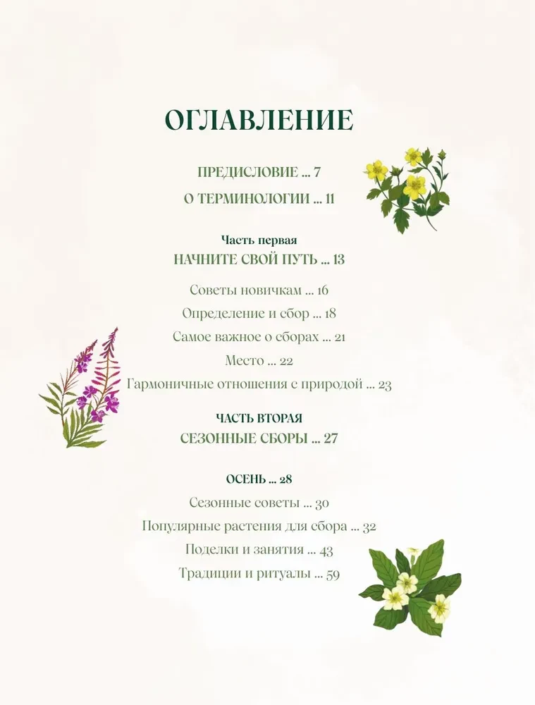 Herbs. Magical Supplies. An Illustrated Guide to Gathering and Preparing Magical Plants, Their Beneficial Properties, and Seasonal Rituals