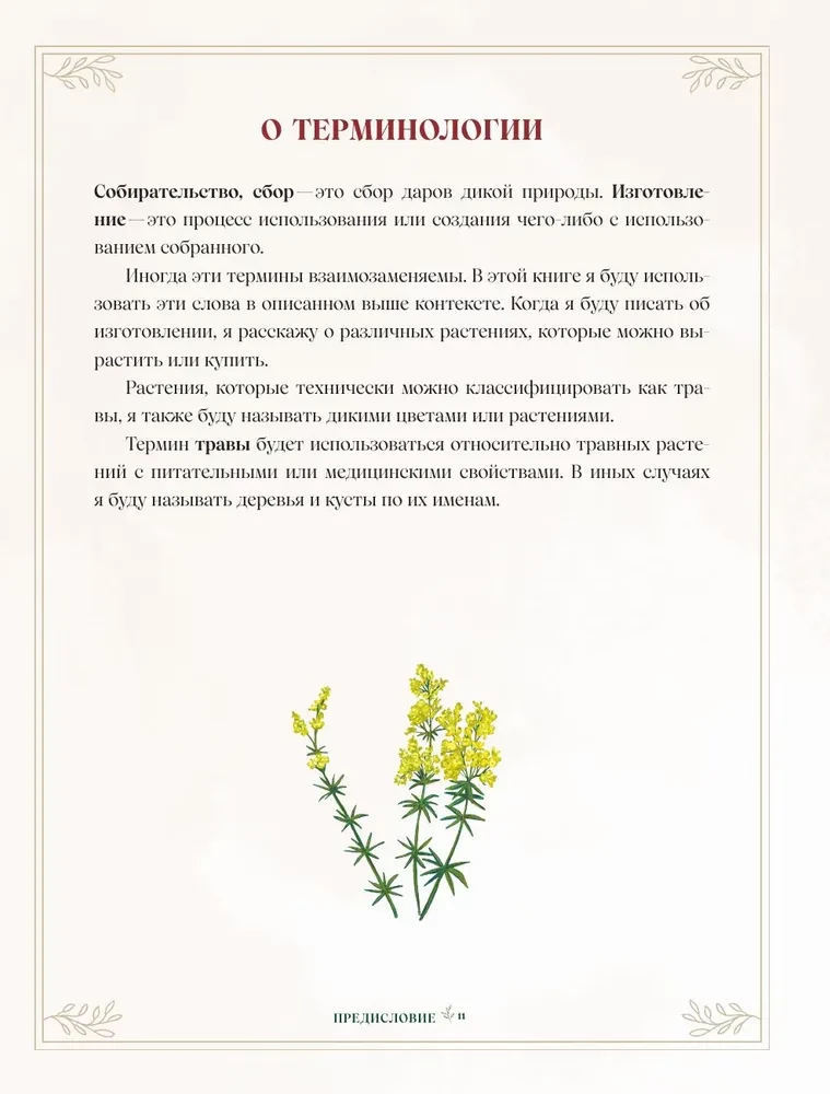 Herbs. Magical Supplies. An Illustrated Guide to Gathering and Preparing Magical Plants, Their Beneficial Properties, and Seasonal Rituals