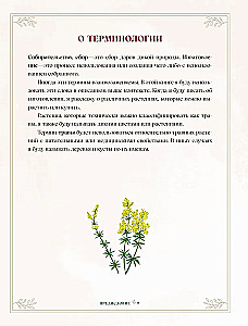 Herbs. Magical Supplies. An Illustrated Guide to Gathering and Preparing Magical Plants, Their Beneficial Properties, and Seasonal Rituals