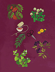 Herbs. Magical Supplies. An Illustrated Guide to Gathering and Preparing Magical Plants, Their Beneficial Properties, and Seasonal Rituals