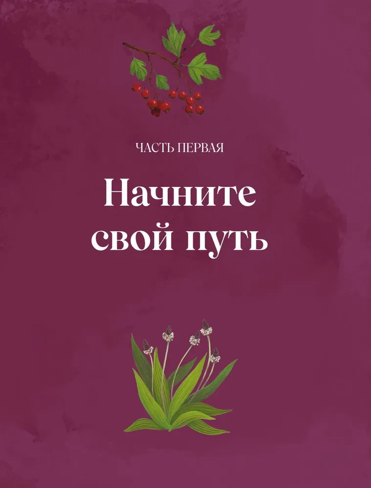Herbs. Magical Supplies. An Illustrated Guide to Gathering and Preparing Magical Plants, Their Beneficial Properties, and Seasonal Rituals