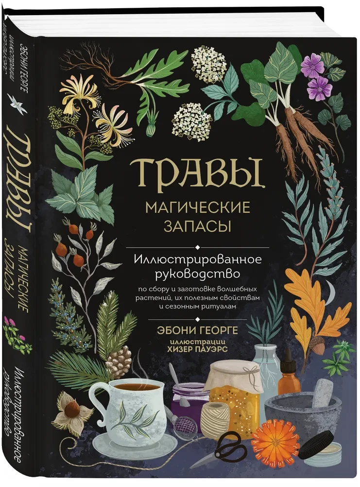 Herbs. Magical Supplies. An Illustrated Guide to Gathering and Preparing Magical Plants, Their Beneficial Properties, and Seasonal Rituals